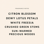 Citron Lumineaux